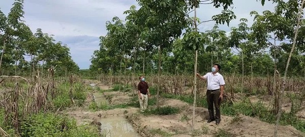 依愛消防A1管理中心和A11電子廠房建設(shè)工程奠基儀式順利舉行